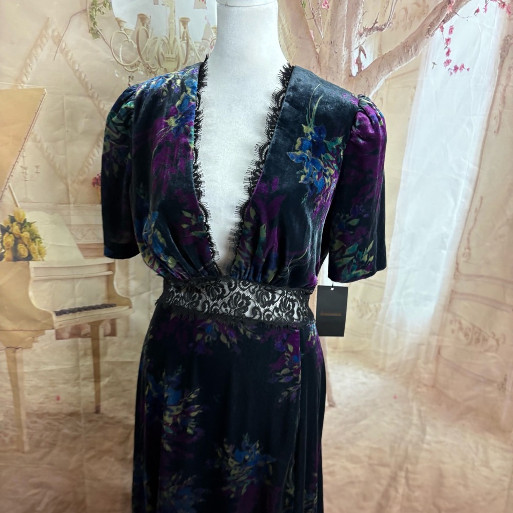 NEW Jill Stuart Women's Lace Inset Velvet Floral Maxi Dress - Picture 8 of 13